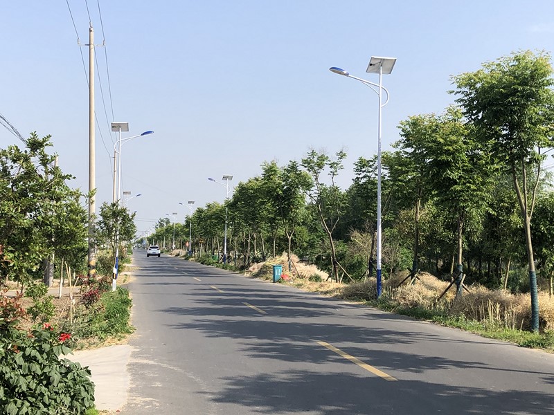 太陽能路燈2 (復制)